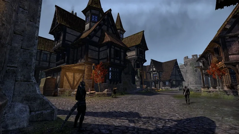 Обзор The Elder Scrolls online. Стоит ли играть в в 2022 году